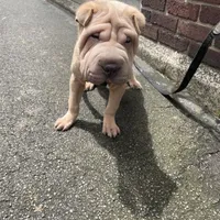 processed/0802b456-99b7-462d-bd14-2364cdf0daac/facility/ca635cce-34ae-4650-92d8-50d50524fcb2