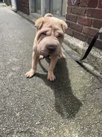 processed/0802b456-99b7-462d-bd14-2364cdf0daac/facility/ca635cce-34ae-4650-92d8-50d50524fcb2