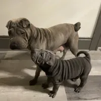 processed/0802b456-99b7-462d-bd14-2364cdf0daac/facility/d58ce005-0ef7-4a2b-8fd9-e4fddb8c1f2e