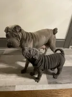 processed/0802b456-99b7-462d-bd14-2364cdf0daac/facility/d58ce005-0ef7-4a2b-8fd9-e4fddb8c1f2e