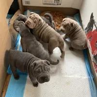 processed/0802b456-99b7-462d-bd14-2364cdf0daac/facility/ea0a7bbf-0718-4091-a424-d9d7f900cb70