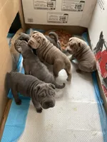 processed/0802b456-99b7-462d-bd14-2364cdf0daac/facility/ea0a7bbf-0718-4091-a424-d9d7f900cb70