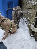 processed/0802b456-99b7-462d-bd14-2364cdf0daac/listing/00e583af-ae32-4502-ab8c-a25267619655/003e3e7b-7ad9-4ddd-89be-57344cfcca62