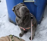 processed/0802b456-99b7-462d-bd14-2364cdf0daac/listing/00e583af-ae32-4502-ab8c-a25267619655/02378440-1d54-4f7a-8446-91d5ebcda3c8