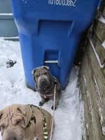 processed/0802b456-99b7-462d-bd14-2364cdf0daac/listing/00e583af-ae32-4502-ab8c-a25267619655/22e35b28-c52d-47e3-bcdc-127196b01fbd