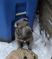 processed/0802b456-99b7-462d-bd14-2364cdf0daac/listing/00e583af-ae32-4502-ab8c-a25267619655/43d90ad5-d557-41f7-90ee-84d32aeb0969