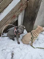 processed/0802b456-99b7-462d-bd14-2364cdf0daac/listing/00e583af-ae32-4502-ab8c-a25267619655/84fc69a2-a42b-4d24-9b3d-ca073ac14472