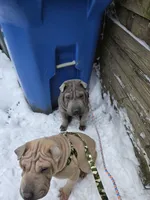 processed/0802b456-99b7-462d-bd14-2364cdf0daac/listing/00e583af-ae32-4502-ab8c-a25267619655/92bd9a6e-a95c-4798-bbe6-8984a4719ba5