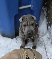 processed/0802b456-99b7-462d-bd14-2364cdf0daac/listing/00e583af-ae32-4502-ab8c-a25267619655/96c905b6-6202-456c-a09c-9472be95575e