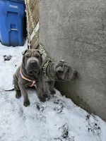 processed/0802b456-99b7-462d-bd14-2364cdf0daac/listing/00e583af-ae32-4502-ab8c-a25267619655/b19d1095-c19d-4a27-a4ee-072e3f1ef587