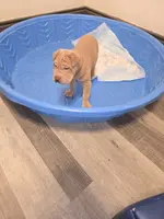 processed/0802b456-99b7-462d-bd14-2364cdf0daac/listing/27d8bf85-bd03-45c5-9539-4f766422ca8f/19ec0add-e5c1-4baf-951a-f92ea06b282c