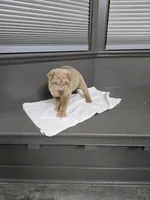 processed/0802b456-99b7-462d-bd14-2364cdf0daac/listing/27d8bf85-bd03-45c5-9539-4f766422ca8f/6a5740e3-129f-4af2-813e-775af20c9d12