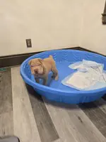 processed/0802b456-99b7-462d-bd14-2364cdf0daac/listing/27d8bf85-bd03-45c5-9539-4f766422ca8f/7d87831a-7d19-47bb-9c5c-48d53182ecb0