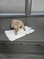 processed/0802b456-99b7-462d-bd14-2364cdf0daac/listing/27d8bf85-bd03-45c5-9539-4f766422ca8f/964e8791-d1c0-4746-a7ca-9da9fa981ede