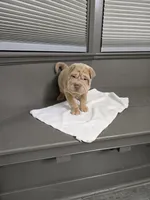 processed/0802b456-99b7-462d-bd14-2364cdf0daac/listing/27d8bf85-bd03-45c5-9539-4f766422ca8f/996ba7ad-33b6-4e48-a8d5-2a9f4e2fed23