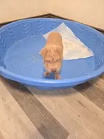 processed/0802b456-99b7-462d-bd14-2364cdf0daac/listing/27d8bf85-bd03-45c5-9539-4f766422ca8f/9be41621-1235-4abf-8a17-197bd9f13c45