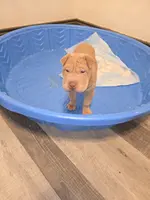 processed/0802b456-99b7-462d-bd14-2364cdf0daac/listing/27d8bf85-bd03-45c5-9539-4f766422ca8f/b58298d8-24d6-4d97-99f4-cb1e74df287a