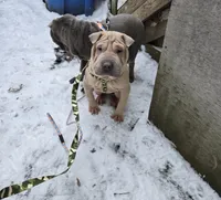 processed/0802b456-99b7-462d-bd14-2364cdf0daac/listing/5cc3f4cf-48c9-48ce-a3d6-05caf8533af5/11b47ba5-9e2b-4821-bf57-608361ebd643