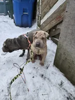 processed/0802b456-99b7-462d-bd14-2364cdf0daac/listing/5cc3f4cf-48c9-48ce-a3d6-05caf8533af5/37add5df-0f32-4a0c-b73f-6b056ca664bd