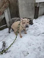 processed/0802b456-99b7-462d-bd14-2364cdf0daac/listing/5cc3f4cf-48c9-48ce-a3d6-05caf8533af5/37ebd5af-5861-40f4-8550-71865f3f9daa