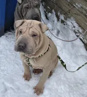 processed/0802b456-99b7-462d-bd14-2364cdf0daac/listing/5cc3f4cf-48c9-48ce-a3d6-05caf8533af5/8aee49d5-28aa-4c60-b7ea-58082f44fac9