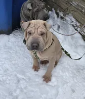 processed/0802b456-99b7-462d-bd14-2364cdf0daac/listing/5cc3f4cf-48c9-48ce-a3d6-05caf8533af5/deae561e-069f-436f-be99-fab0442d6b2f