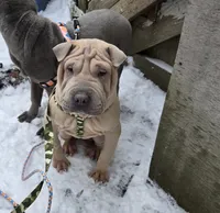 processed/0802b456-99b7-462d-bd14-2364cdf0daac/listing/5cc3f4cf-48c9-48ce-a3d6-05caf8533af5/dee30d4c-a59c-4654-bed1-0a4d990588d3