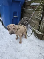 processed/0802b456-99b7-462d-bd14-2364cdf0daac/listing/5cc3f4cf-48c9-48ce-a3d6-05caf8533af5/f91a6ad7-8cfb-4d03-b211-dd74d7382344