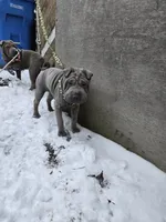 processed/0802b456-99b7-462d-bd14-2364cdf0daac/listing/733104ba-e962-4910-a9fb-af855126a810/055b0893-cfe9-441e-a80e-571ffe209086