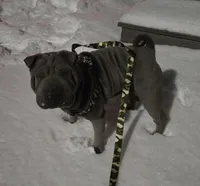 processed/0802b456-99b7-462d-bd14-2364cdf0daac/listing/733104ba-e962-4910-a9fb-af855126a810/19fe7f12-c620-4e97-a154-76b7096708f3