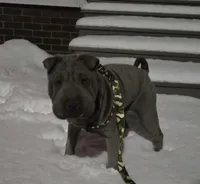 processed/0802b456-99b7-462d-bd14-2364cdf0daac/listing/733104ba-e962-4910-a9fb-af855126a810/2de246bf-1d84-4c27-8931-7eed1478ea73