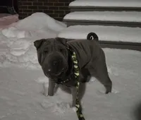 processed/0802b456-99b7-462d-bd14-2364cdf0daac/listing/733104ba-e962-4910-a9fb-af855126a810/38428716-3c63-466c-ae4d-dcdcf5c79c30