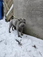 processed/0802b456-99b7-462d-bd14-2364cdf0daac/listing/733104ba-e962-4910-a9fb-af855126a810/bf416f9a-bb76-4b07-b8b0-73eda02bdd7c