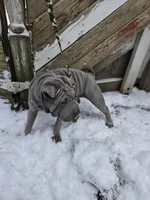 processed/0802b456-99b7-462d-bd14-2364cdf0daac/listing/733104ba-e962-4910-a9fb-af855126a810/f0e41b4e-e5ec-4715-9366-3f7822851582