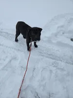 processed/0802b456-99b7-462d-bd14-2364cdf0daac/listing/9d89992c-bb1b-42bb-aac0-bd9e408e1c7e/3d7e2eaf-c0c8-4a28-9b2e-c0e55a906ab4