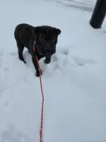 processed/0802b456-99b7-462d-bd14-2364cdf0daac/listing/9d89992c-bb1b-42bb-aac0-bd9e408e1c7e/8c29f89d-352b-4765-b649-ce4a02ff1054