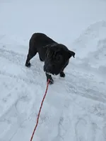 processed/0802b456-99b7-462d-bd14-2364cdf0daac/listing/9d89992c-bb1b-42bb-aac0-bd9e408e1c7e/b230b286-660d-4ef4-8dbe-98e7dc6016bf