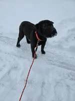 processed/0802b456-99b7-462d-bd14-2364cdf0daac/listing/9d89992c-bb1b-42bb-aac0-bd9e408e1c7e/cf08c601-e810-4826-bdaa-d09c38e7d750