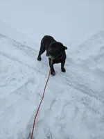 processed/0802b456-99b7-462d-bd14-2364cdf0daac/listing/9d89992c-bb1b-42bb-aac0-bd9e408e1c7e/d1fbb0de-f56e-4e6b-85cb-9318ce862d2d