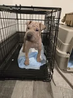 processed/0802b456-99b7-462d-bd14-2364cdf0daac/listing/cd5fe323-f4b9-4f14-8f57-e75f27213001/6d295eb7-b414-4963-a174-73437619381a