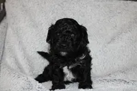 processed/0804bc03-77a7-493b-95f0-387b18f3ea42/listing/fc54fc5c-a3d4-4751-bf62-5087ed3b264e/1a024842-ce0b-4b9f-921d-1a8b9468ce9e