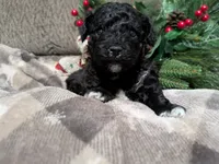 processed/0804bc03-77a7-493b-95f0-387b18f3ea42/listing/fc54fc5c-a3d4-4751-bf62-5087ed3b264e/c21860f1-34c8-4cb2-b586-d4f2134da9ae