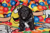 processed/0804bc03-77a7-493b-95f0-387b18f3ea42/listing/fc54fc5c-a3d4-4751-bf62-5087ed3b264e/cdccc212-689c-4f47-9857-73bac996c195