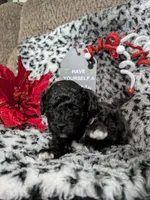 processed/0804bc03-77a7-493b-95f0-387b18f3ea42/listing/fc54fc5c-a3d4-4751-bf62-5087ed3b264e/de711d28-e823-4c64-a172-55c0d304b019