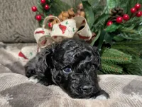 processed/0804bc03-77a7-493b-95f0-387b18f3ea42/listing/fc54fc5c-a3d4-4751-bf62-5087ed3b264e/f4244045-f94c-414d-8627-83f7dc2d7b9e