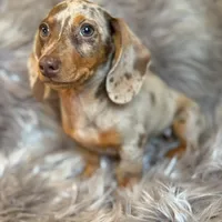 processed/081674e9-4cd9-451b-96f2-3e555ebd879e/facility/06362051-00e0-4ab4-a02d-c9f2abc35bad