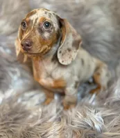 processed/081674e9-4cd9-451b-96f2-3e555ebd879e/facility/06362051-00e0-4ab4-a02d-c9f2abc35bad