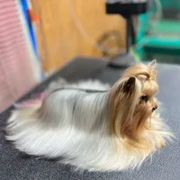 processed/081674e9-4cd9-451b-96f2-3e555ebd879e/facility/07a130c0-d565-4817-afd3-f0baeb9a13be