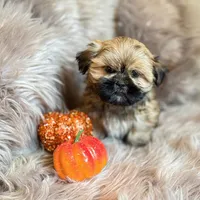 processed/081674e9-4cd9-451b-96f2-3e555ebd879e/facility/2ad38e44-c591-4028-bbb0-0d8ce5b5d711