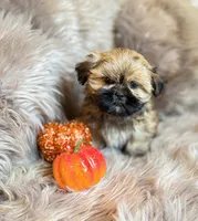 processed/081674e9-4cd9-451b-96f2-3e555ebd879e/facility/2ad38e44-c591-4028-bbb0-0d8ce5b5d711